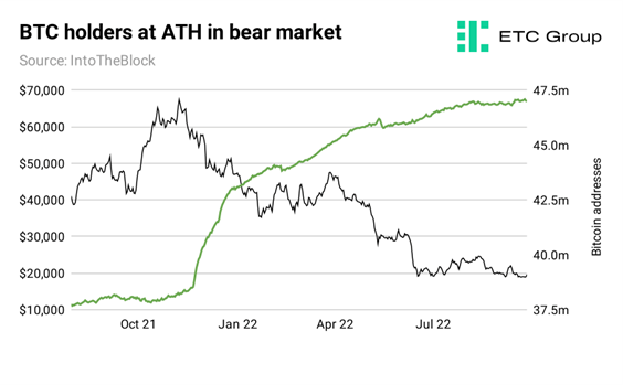 BTC holders at ATH in bear market