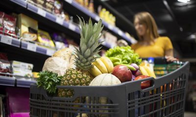 Einkaufswagen im Supermarkt mit Obst und Gemüse - Preise Inflation Deutschland (Foto: Freepik, aleksandarlittlewolf)
