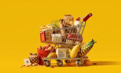 Einkaufswagen mit Lebensmitteln - Inflation März 2024Verbraucher-Preise in Deutschland Zins-Entscheid (Foto: Freepik, Asif Munir011)