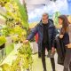 2 Personen vor Regal mit Nutzpflanzen - Impressionen von der Grüne Woche 2023 (Foto: Messe Berlin GmbH)