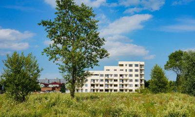 Mietshaus am Stadtrand mit Wiese im Vordergrund - Wohnung mieten Berlin München (Foto: Freepik, wirestock)