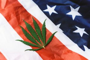 Marihuana-Pflanze liegt auf US-Flagge - US-Präsident Joe Biden will Cannabis entkriminalisieren