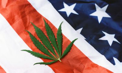 Marihuana-Pflanze liegt auf US-Flagge
