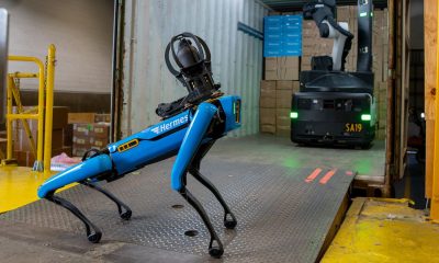 Robotertypen Spot und Strech von Boston Dynamics (Foto: Otto Group)