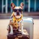 Hund mit Sonnenbrille auf einem Reisekoffer (Foto: freepik, Gizmo Illustrator)
