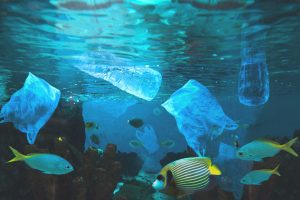 Plastiktüten und bunten Fische im Meer (Foto: freepik, user7264515) - Plastik im Meer: neuer Kunststoff löst sich in Salzwasser auf